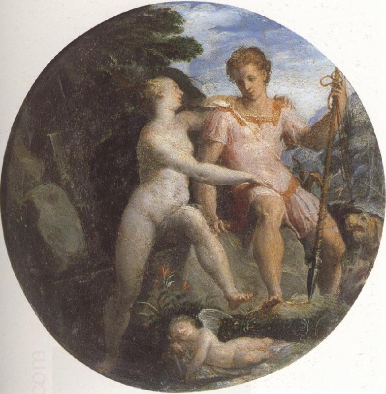 Girolamo Macchietti Venus and Adonis oil painting picture